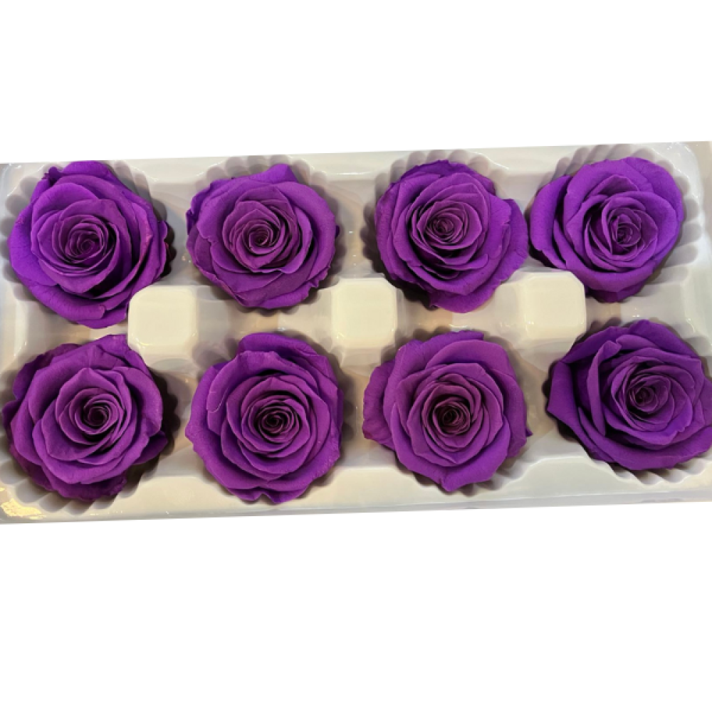 Purple Roses Preserved | Long-lasting Roses